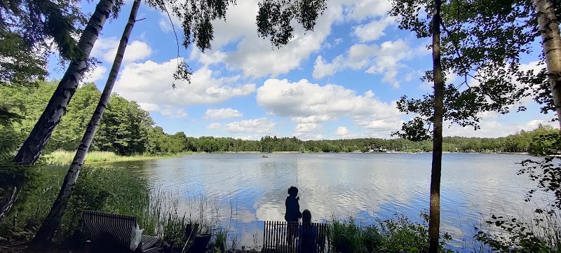 Botkyrka sänker skatten och fastställer budget för 2026